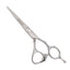 Samurai - 6" Premium VG10 Cobalt Scissors (102-732)