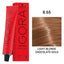 Schwarzkopf Professional - Igora Royal Permanent Hair Colour Chocolates Series 60ml