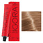 7-65 Medium Blonde Chocolate Gold