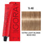 Schwarzkopf Professional - Igora Royal Permanent Hair Colour Beiges & Gold Series 60ml