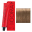 Schwarzkopf Professional - Igora Royal Permanent Hair Colour Beiges & Gold Series 60ml