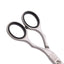 Kiepe - 2233 Studio Techno Scissors 5.5 Inch (14cm)