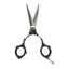 Kiepe - 2260 Sensation Series Cut Razor Edge Regular Scissors