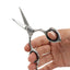 Kiepe - 2260 Sensation Series Cut Razor Edge Regular Scissors