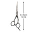Kiepe - 2898 Monster Cut Razor Edge Scissors Semi Offset 5.5 Inch (14cm)