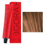 Schwarzkopf Professional - Igora Royal Permanent Hair Colour Beiges & Gold Series 60ml