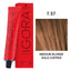 Schwarzkopf Professional - Igora Royal Permanent Hair Colour Beiges & Gold Series 60ml
