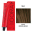 Schwarzkopf Professional - Igora Royal Permanent Hair Colour Beiges & Gold Series 60ml
