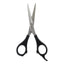 Kiepe - 2118 Academy Scissors 5.5 Inch (14cm)