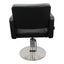 Salon Styling Chair - Modern Hairdresser's Chair