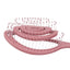 Head Jog - Detangler Straw Brushes Nude Blush Collection