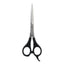 Kiepe - 2118 Academy Scissors 6 Inch (16cm)