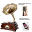 Eson - Vintage Style Gramophone Bluetooth & Vinyl Music System