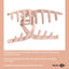 Head Jog - Straw Whale Clip