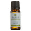 Kaeso - Aromatherapy Essential Oil 10ml