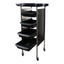 Eson - Hairdresser Multi-Function Storage Trolley