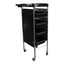 Eson - Hairdresser Multi-Function Storage Trolley