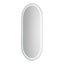 Salon Mirror - Oval Frameless LED Mirror with Smart Touch Sensor & 3-Colour Lighting Modes