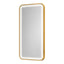 Salon Mirror - Rectangular Gold Framed LED Mirror with Smart Touch Sensor & 3-Colour Lighting Modes