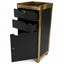 Salon Trolley - Black & Gold Lockable Storage Trolley