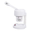 Eson - Facial Steamer Portable Face Mist Sprayer