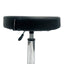 Eson - Salon & Beauty Stool Height Adjustable Swivel Chair with Wheels