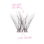 Tatti Lashes - Everyday Wisp Individual Lashes (8, 10 & 12mm)