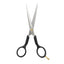 Kiepe - 2312 Academy Scissors 6.5 Inch (17cm)