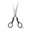 Kiepe - 2312 Academy Scissors 6.5 Inch (17cm)