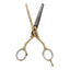 Kiepe - 2471 Luxury Gold Blending Scissors 5.5 Inch (14cm)