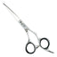 QT Quality Tools - PRO-R Professional Hairdressing Scissors 6.0 inch (15.5cm)