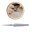 Hive - X Type Eyelash Extensions Tweezers