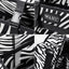 Wahl - Professional Tool Carry Bag Zebra Print